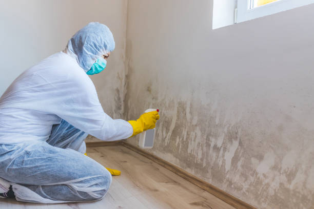 Mold Remediation specialist working in Gasburg
