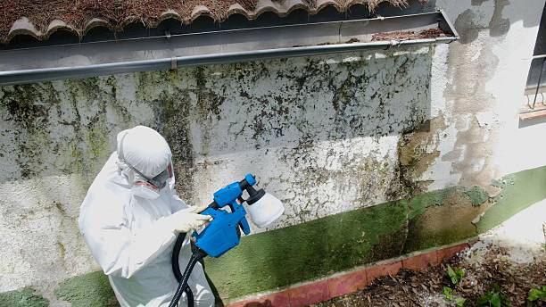 Mold Remediation service in Gasburg, Gasburg, VA